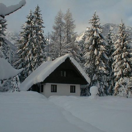 Apartmaji In Sobe Bohinjsko Jezero Ukanc Exterior foto