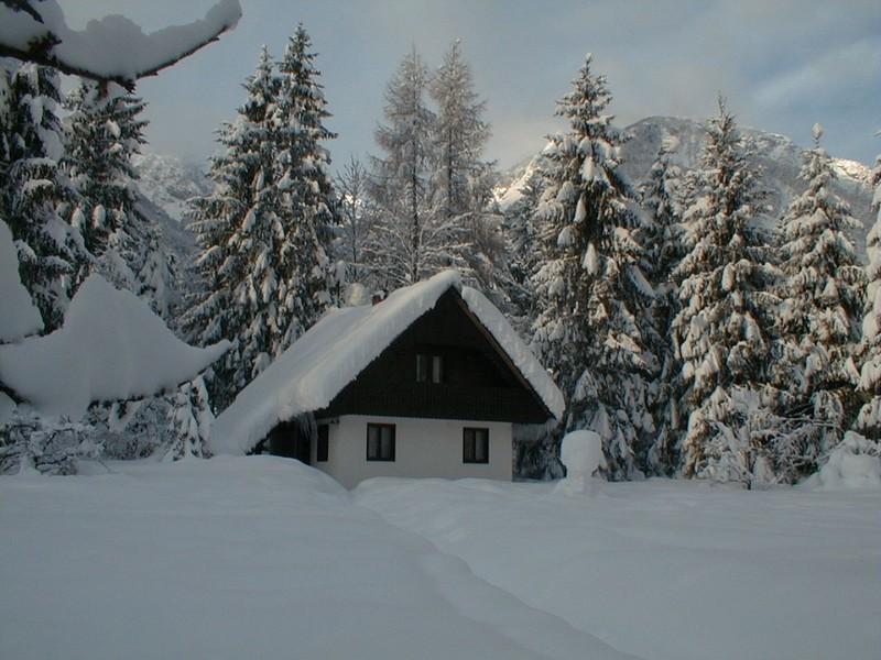Apartmaji In Sobe Bohinjsko Jezero Ukanc Exterior foto